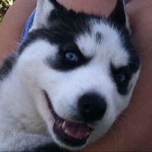 Meet your Posher, Lynette